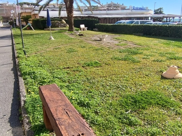 PHOTO-2026-02-15-15-35-27