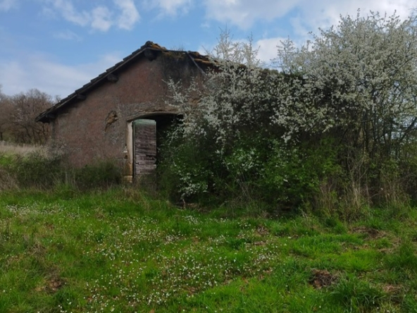 PHOTO-2026-03-12-09-07-45