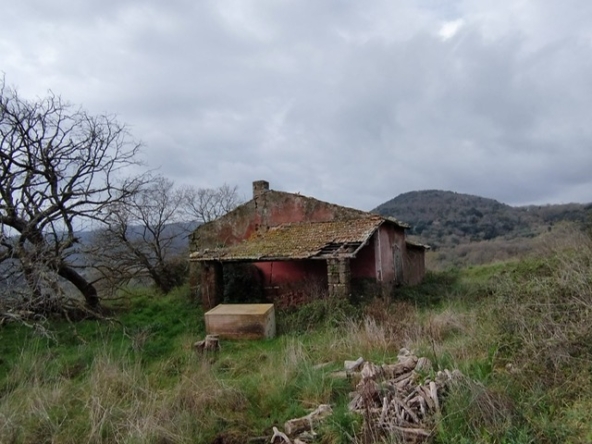 PHOTO-2026-03-12-09-09-11