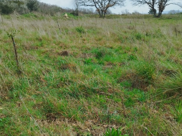 PHOTO-2026-03-12-09-09-13