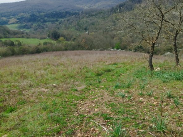 PHOTO-2026-03-12-09-09-15